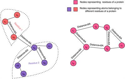 Protein quality assessment with a loss function designed for high-quality decoys